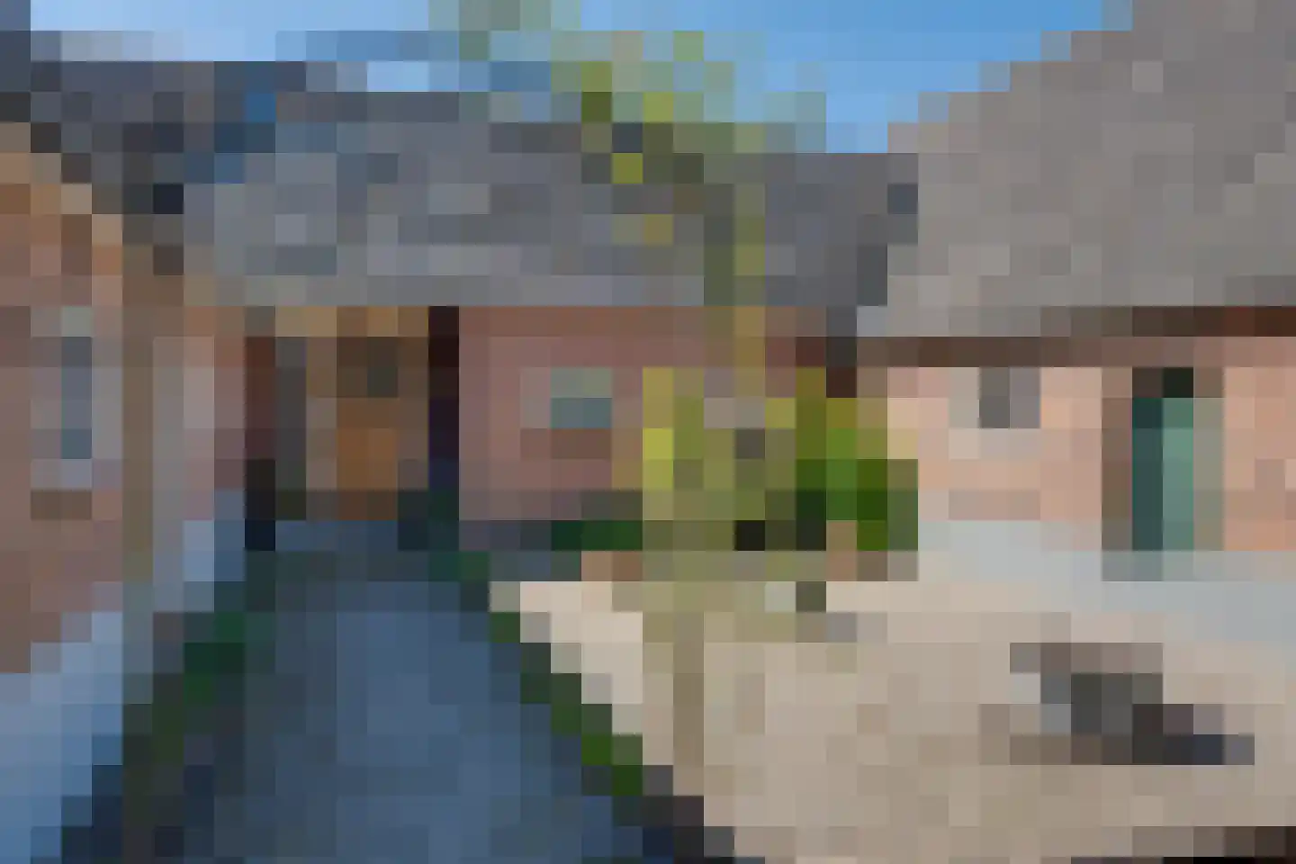 Overveldweg 3 a Harfsen thumbnail 5
