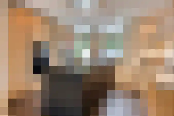 Overvliet 8 Lopikerkapel thumbnail 10