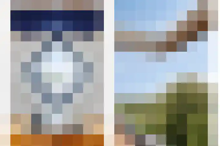 Overvliet 8 Lopikerkapel thumbnail 25
