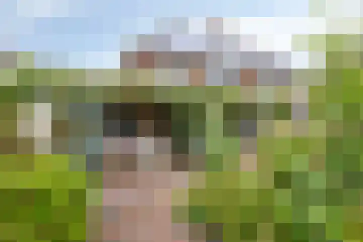 Overvliet 8 Lopikerkapel thumbnail 26