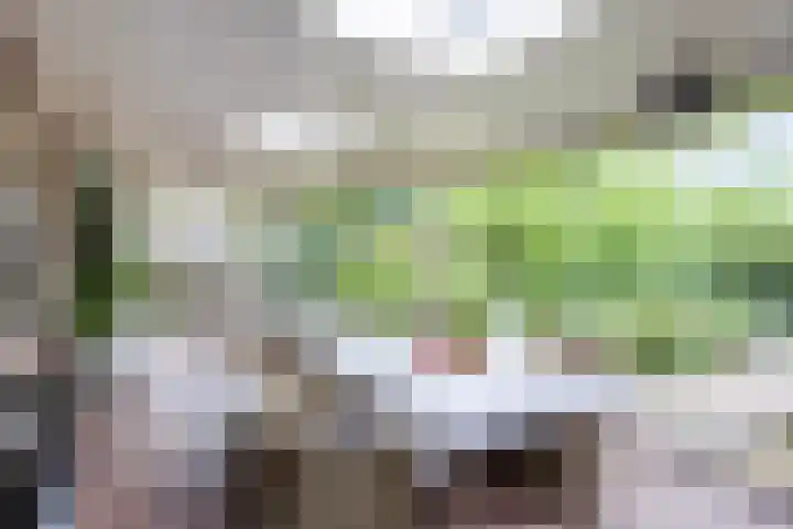 Overvliet 8 Lopikerkapel thumbnail 27