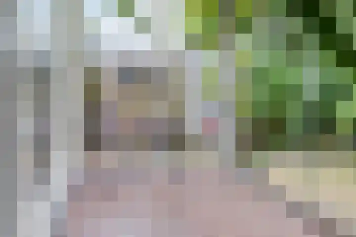 Overvliet 8 Lopikerkapel thumbnail 28