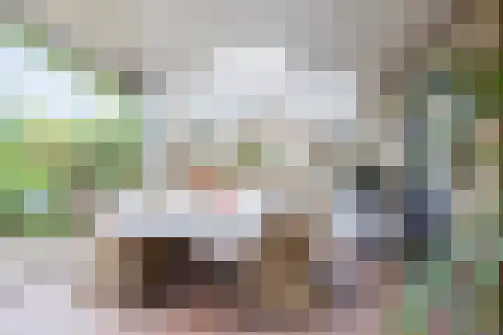 Overvliet 8 Lopikerkapel thumbnail 29