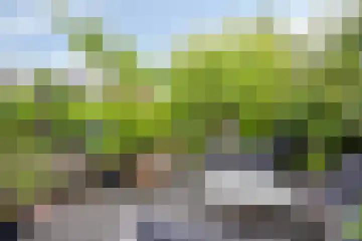 Overvliet 8 Lopikerkapel thumbnail 30