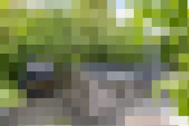 Overvliet 8 Lopikerkapel thumbnail 31