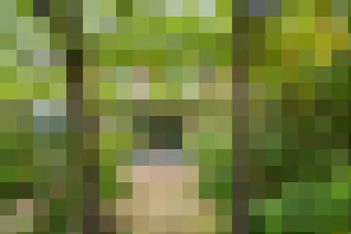 Overvliet 8 Lopikerkapel thumbnail 32