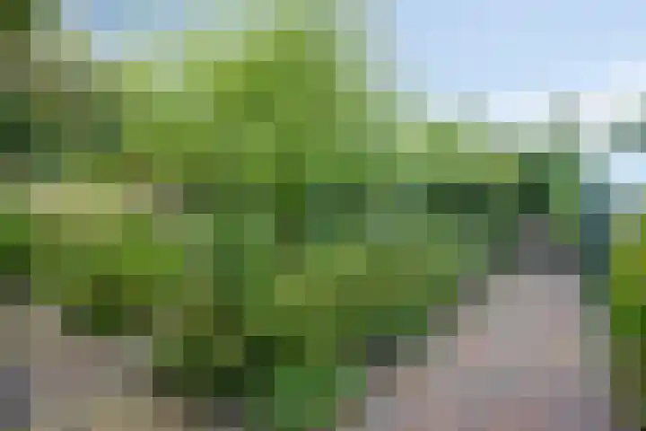 Overvliet 8 Lopikerkapel thumbnail 33