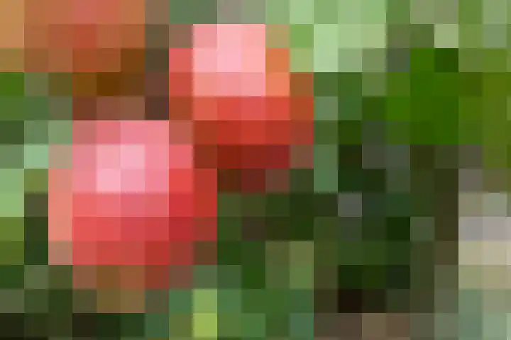 Overvliet 8 Lopikerkapel thumbnail 34
