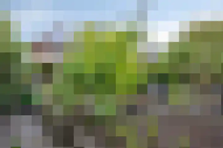 Overvliet 8 Lopikerkapel thumbnail 35