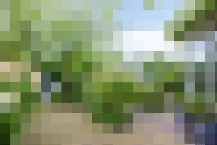 Overvliet 8 Lopikerkapel thumbnail 36
