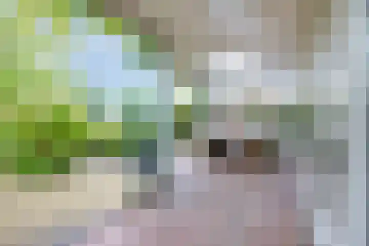 Overvliet 8 Lopikerkapel thumbnail 4