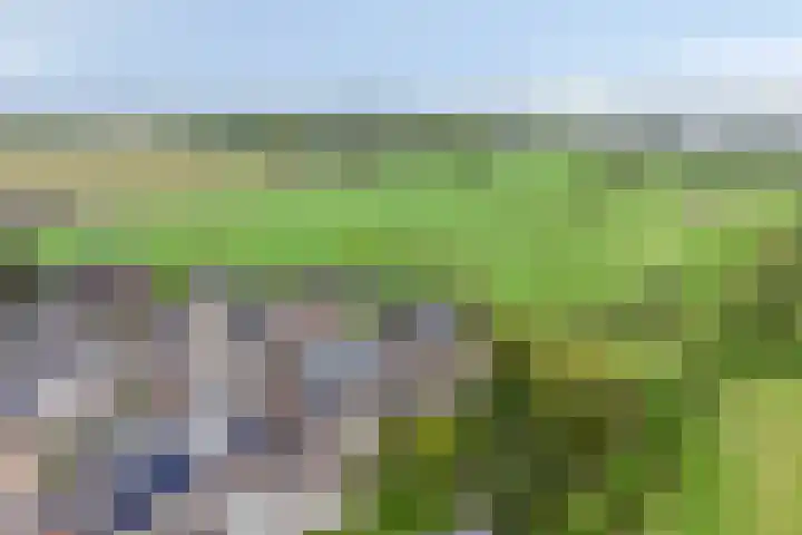 Overvliet 8 Lopikerkapel thumbnail 42