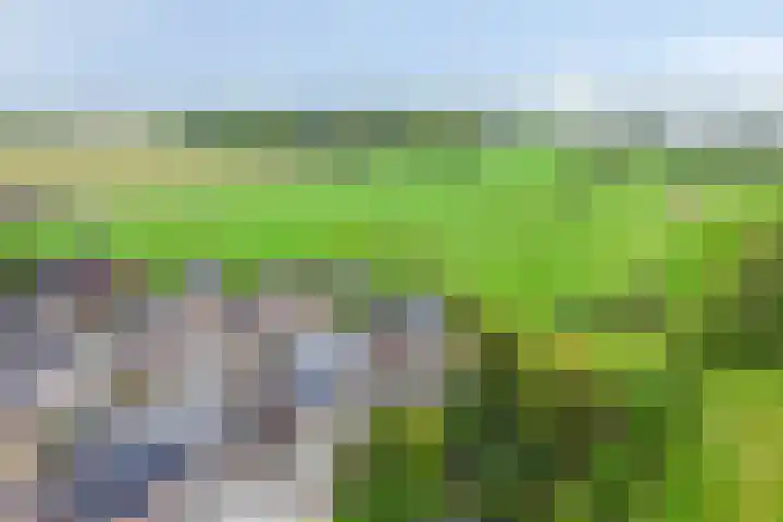 Overvliet 8 Lopikerkapel thumbnail 43