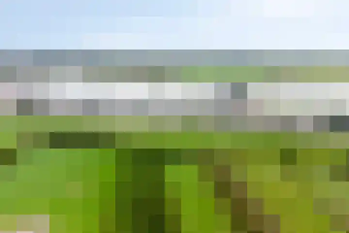 Overvliet 8 Lopikerkapel thumbnail 44