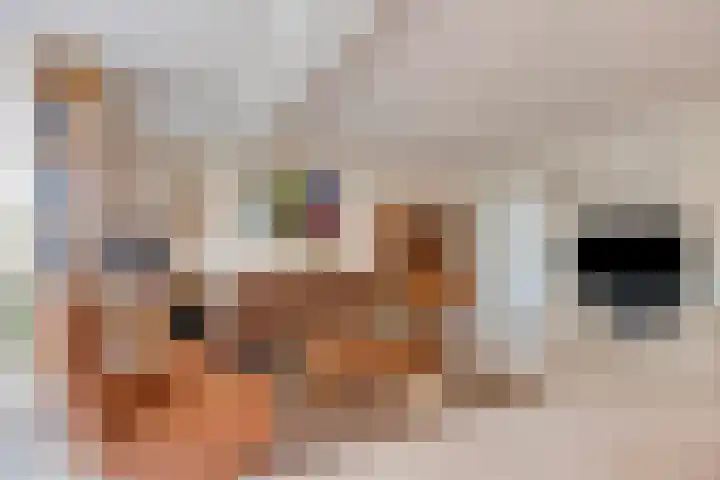 Overvliet 8 Lopikerkapel thumbnail 7