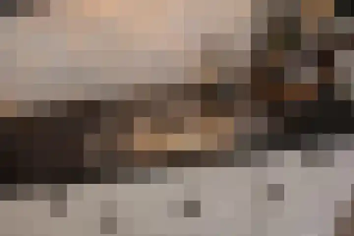 Overvoorde 12 Pijnacker thumbnail 11