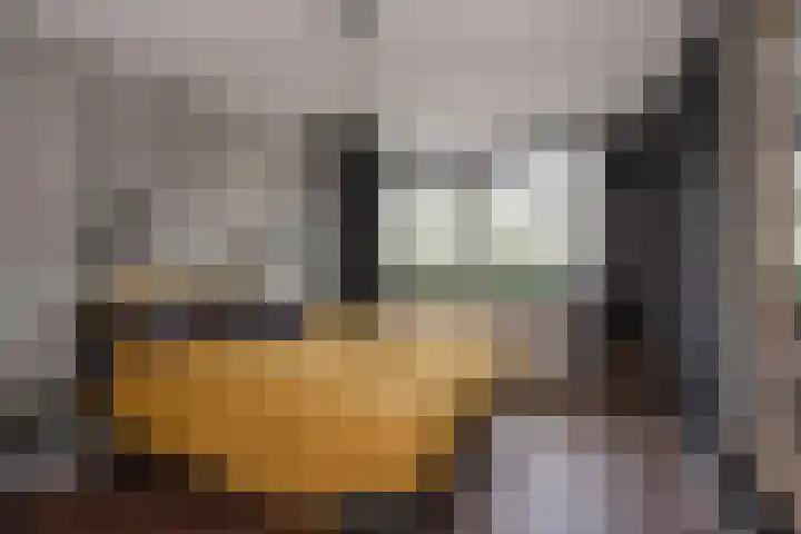 Overvoorde 12 Pijnacker thumbnail 16
