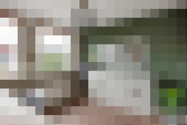 Overvoorde 12 Pijnacker thumbnail 19