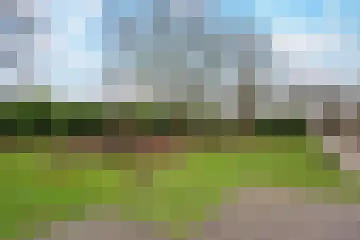Overvoorde 12 Pijnacker thumbnail 33