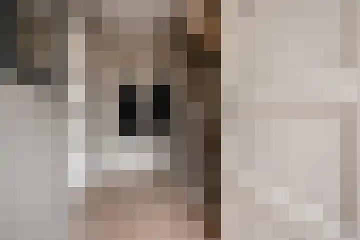 Overvoorde 12 Pijnacker thumbnail 5