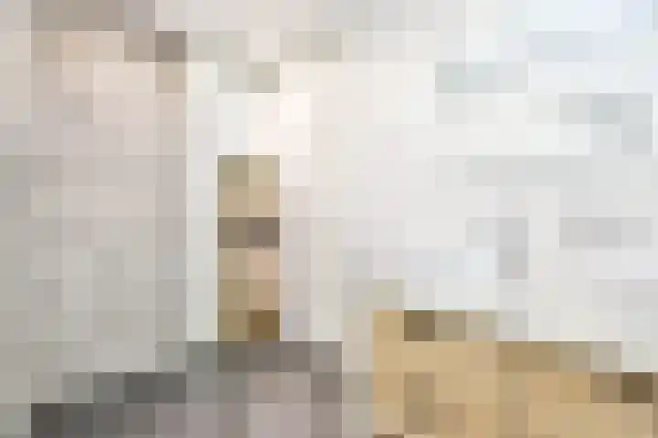 Overvoorde 20 Amsterdam thumbnail 12