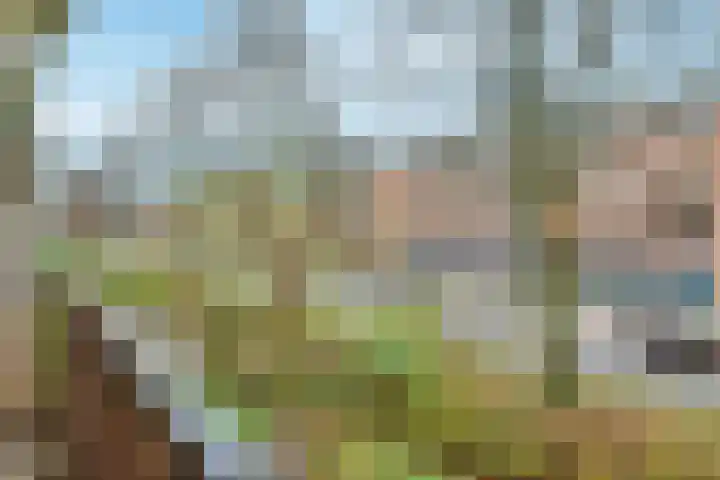 Overvoorde 20 Amsterdam thumbnail 16