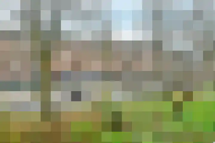 Overvoorde 20 Amsterdam thumbnail 17