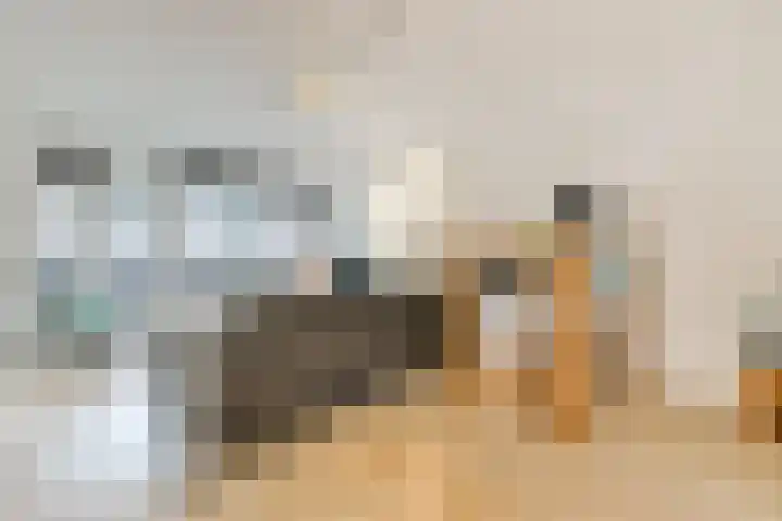 Overvoorde 20 Amsterdam thumbnail 4