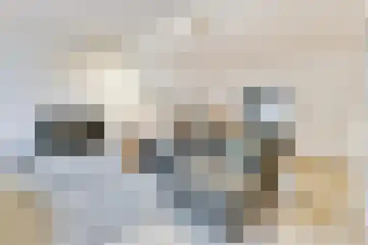 Overvoorde 20 Amsterdam thumbnail 6