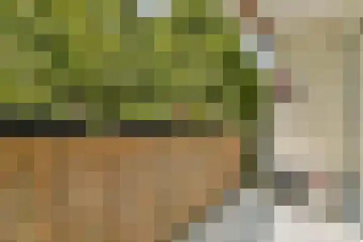 Overvoorde 30 Amsterdam thumbnail 17