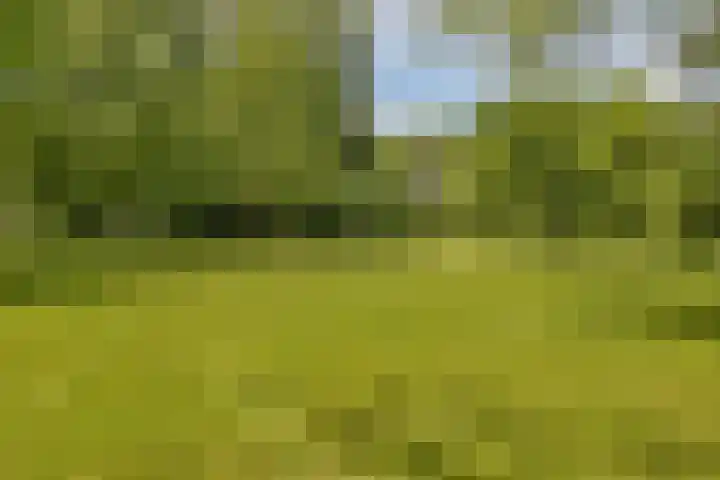 Overvoorde 30 Amsterdam thumbnail 22