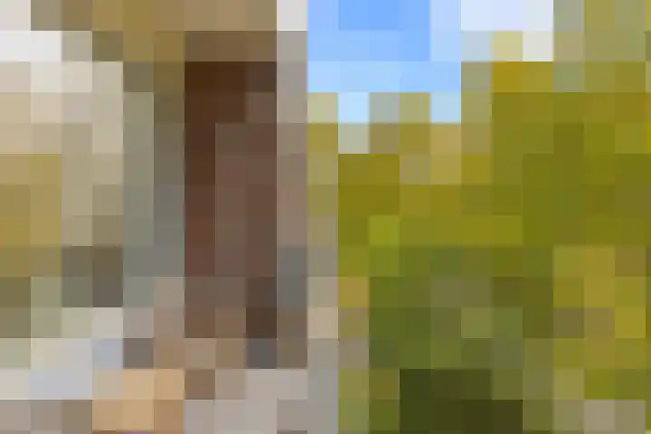 Overvoorde 33 Amsterdam thumbnail 12