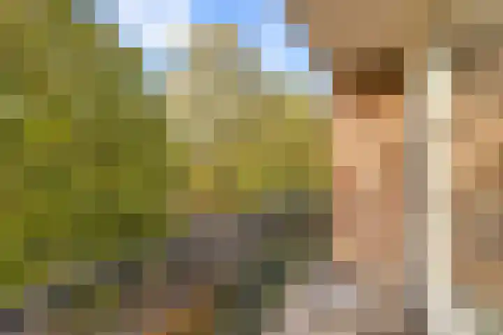 Overvoorde 33 Amsterdam thumbnail 13