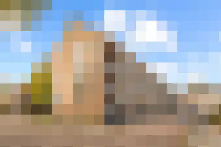 Overvoorde 33 Amsterdam thumbnail 22