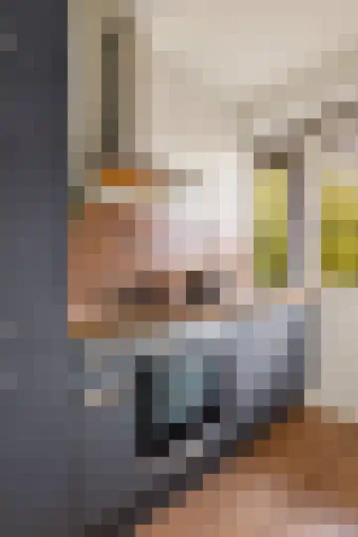 Overvoorde 33 Amsterdam thumbnail 7