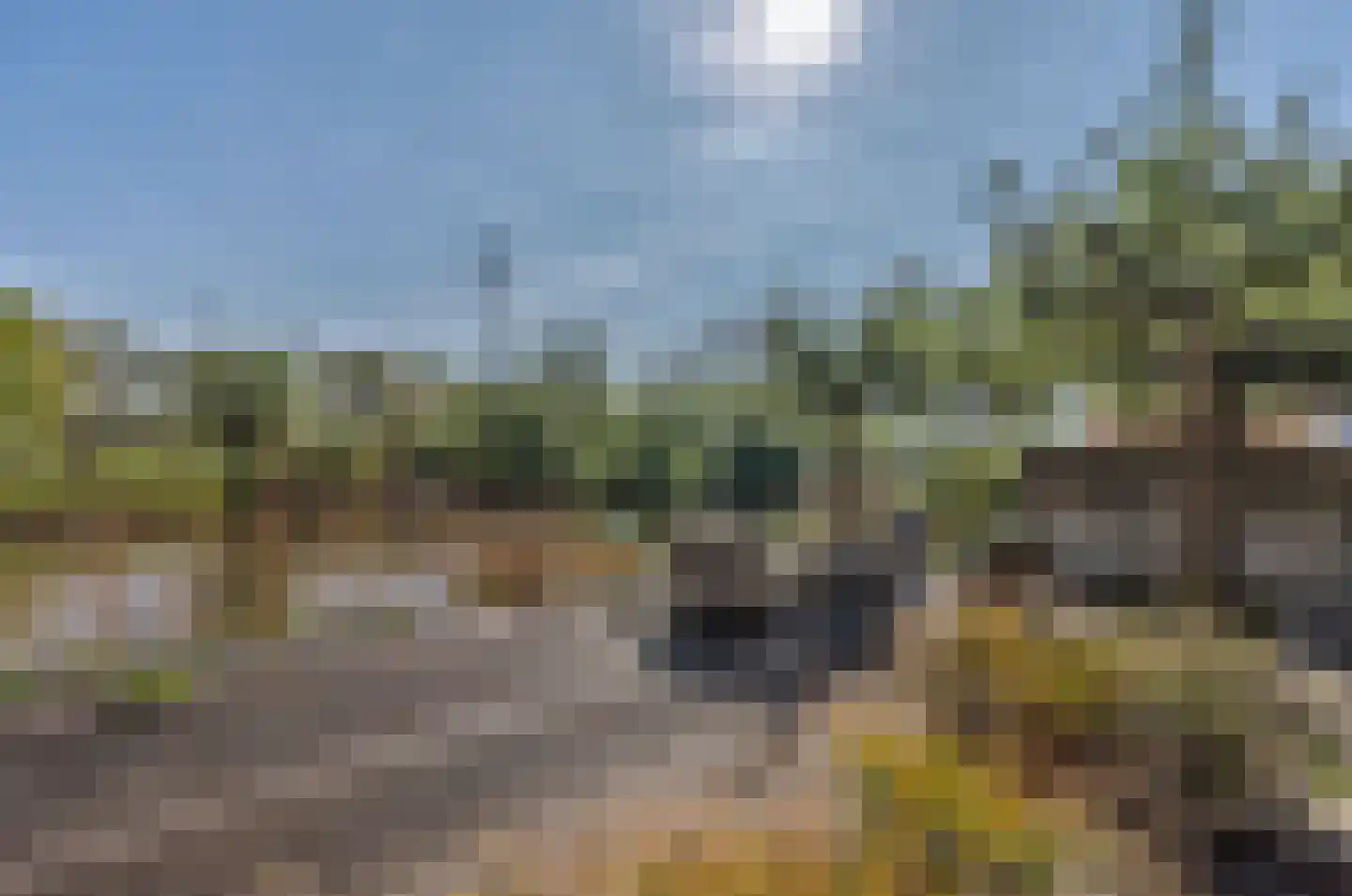 Overwaard 14 Capelle aan den IJssel thumbnail 15