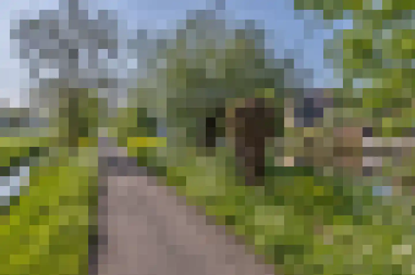 Overwaard 14 Capelle aan den IJssel thumbnail 30