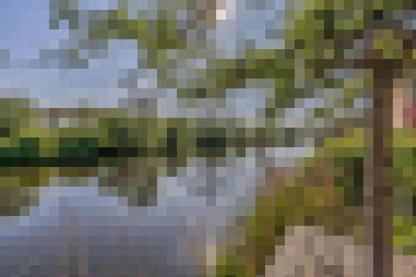 Overwaard 14 Capelle aan den IJssel thumbnail 32