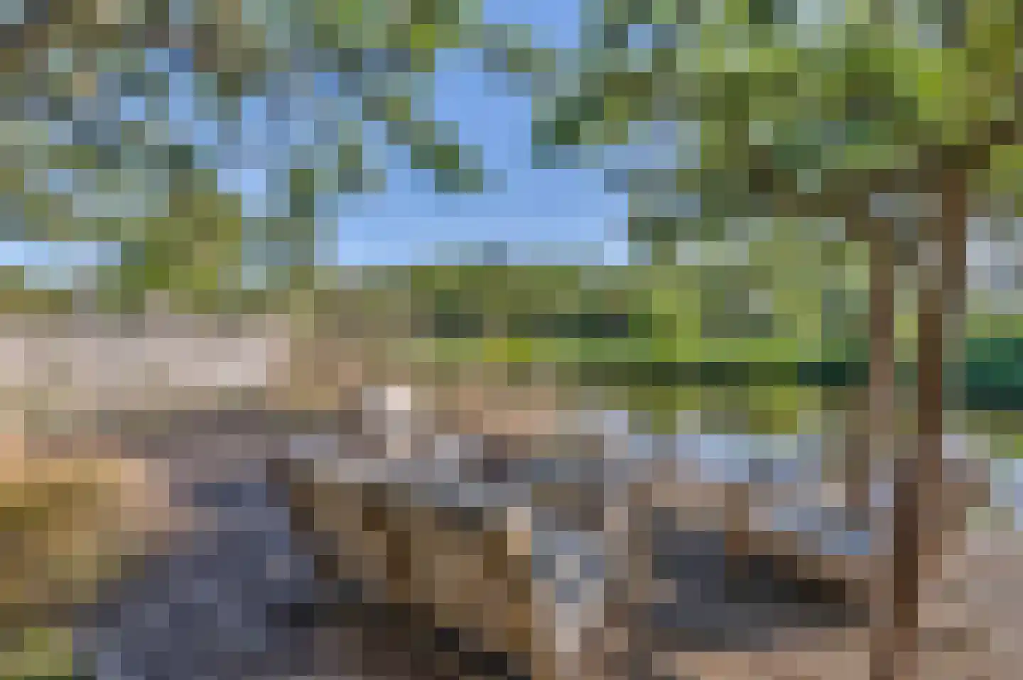 Overwaard 14 Capelle aan den IJssel thumbnail 4