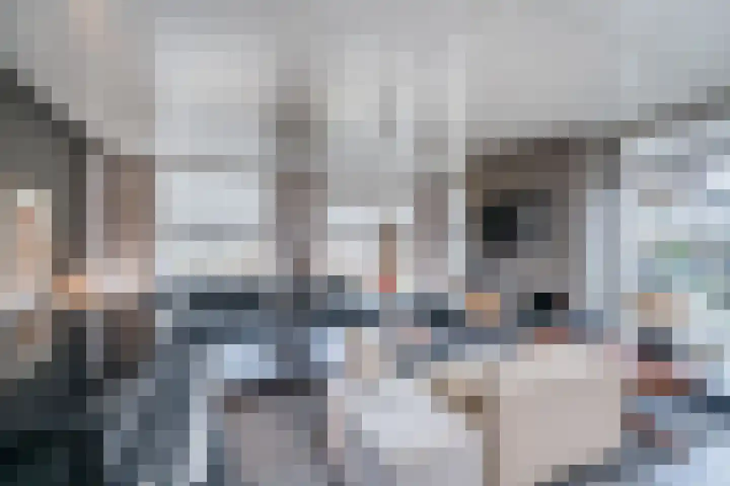 Overwaard 14 Capelle aan den IJssel thumbnail 5