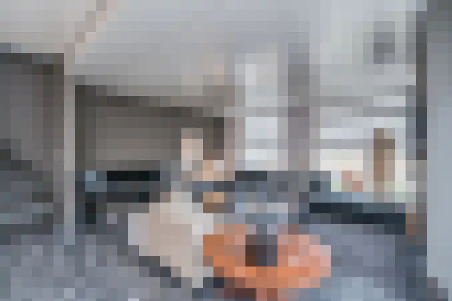 Overwaard 14 Capelle aan den IJssel thumbnail 7
