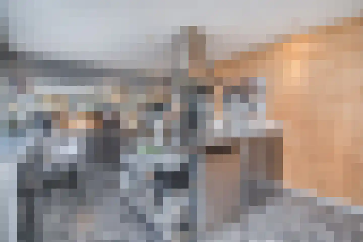 Overwaard 14 Capelle aan den IJssel thumbnail 8