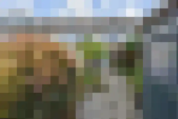 Overwater 12 Zoetermeer thumbnail 23