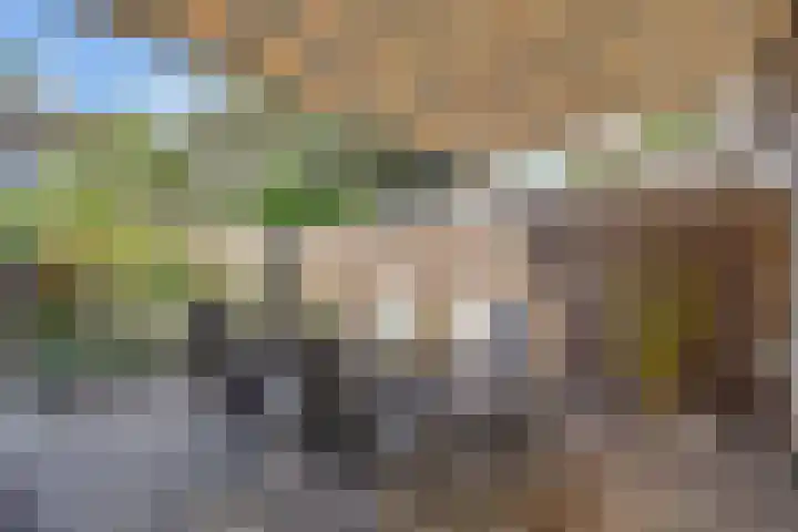 Overwater 12 Zoetermeer thumbnail 4