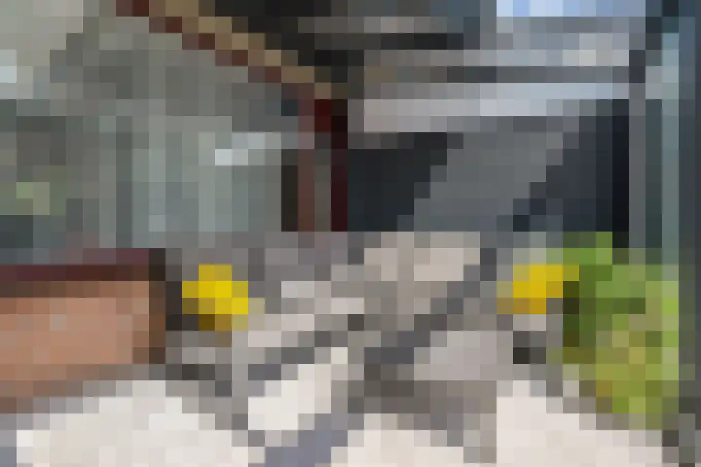 Overwater 7 Zoetermeer thumbnail 11