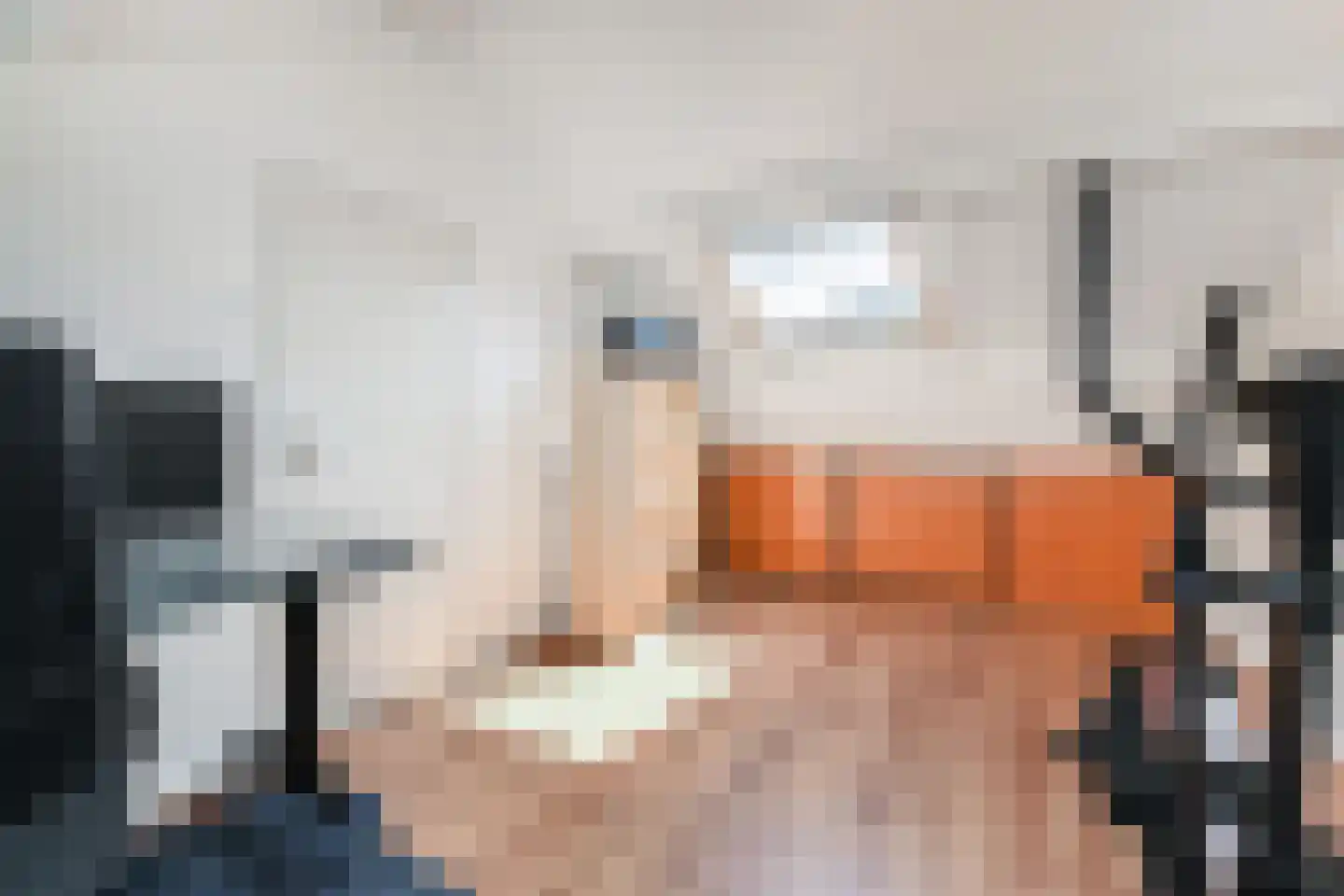 Overwater 7 Zoetermeer thumbnail 35