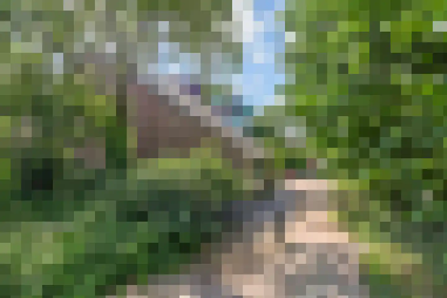 Overwater 7 Zoetermeer thumbnail 38