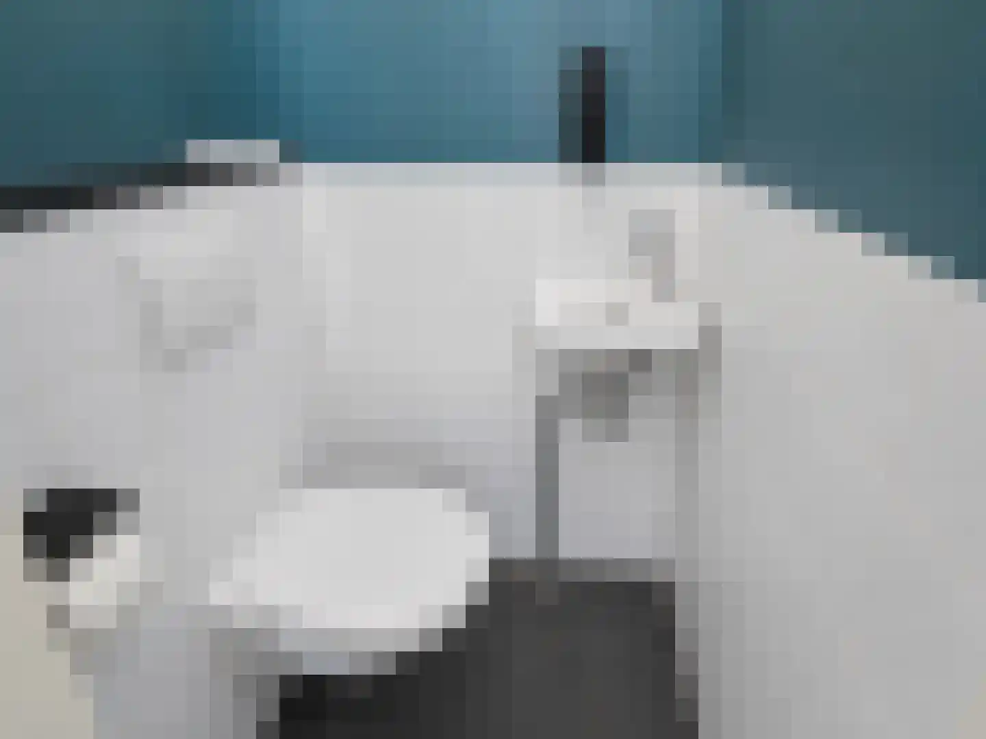Overwater 7 Zoetermeer thumbnail 9