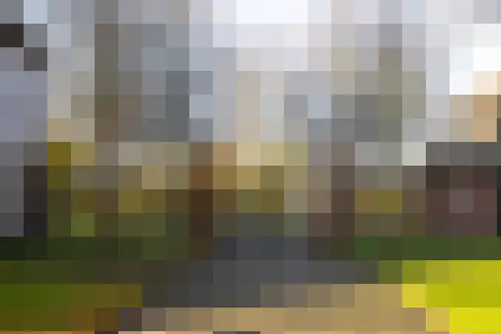 Overweer 17 Breukelen thumbnail 38