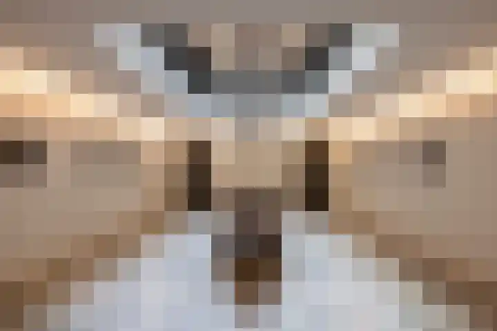 Overweer 17 Breukelen thumbnail 4